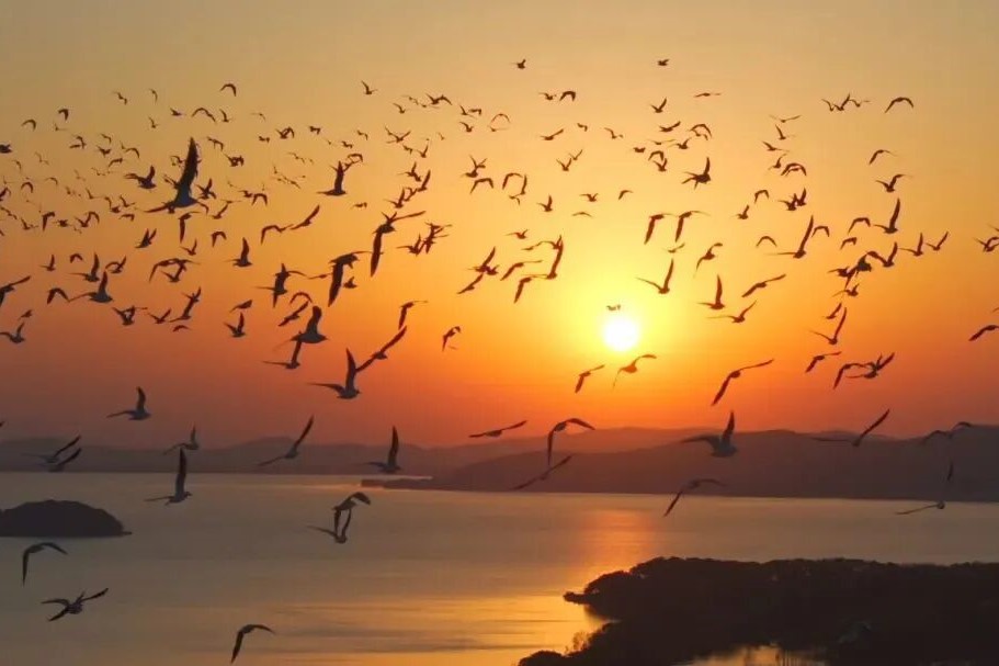 太湖揽胜丨马年新春起航啦！