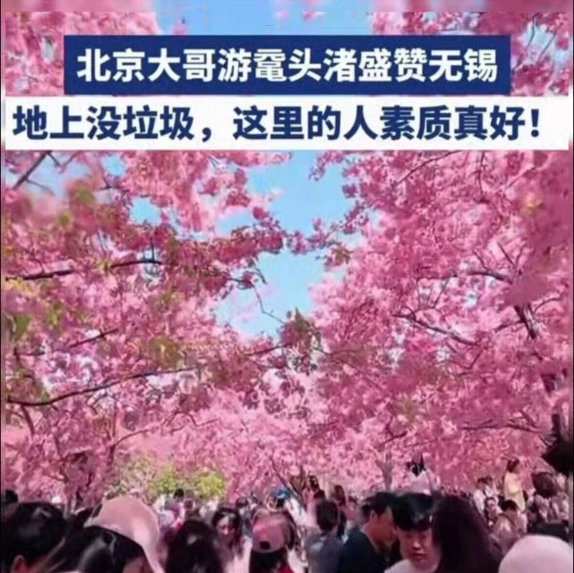 鼋头渚竟以这种方式又出圈了！