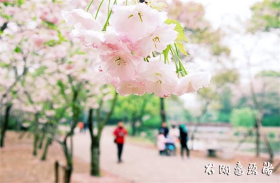 201804091611210112.jpg