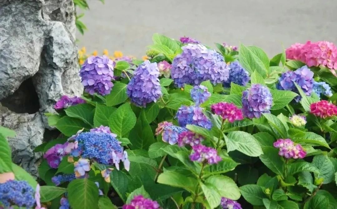 image011.jpg