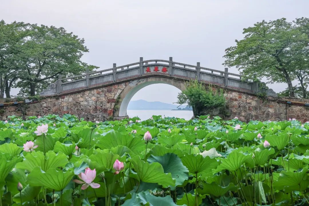 微信图片_20220803134017.jpg