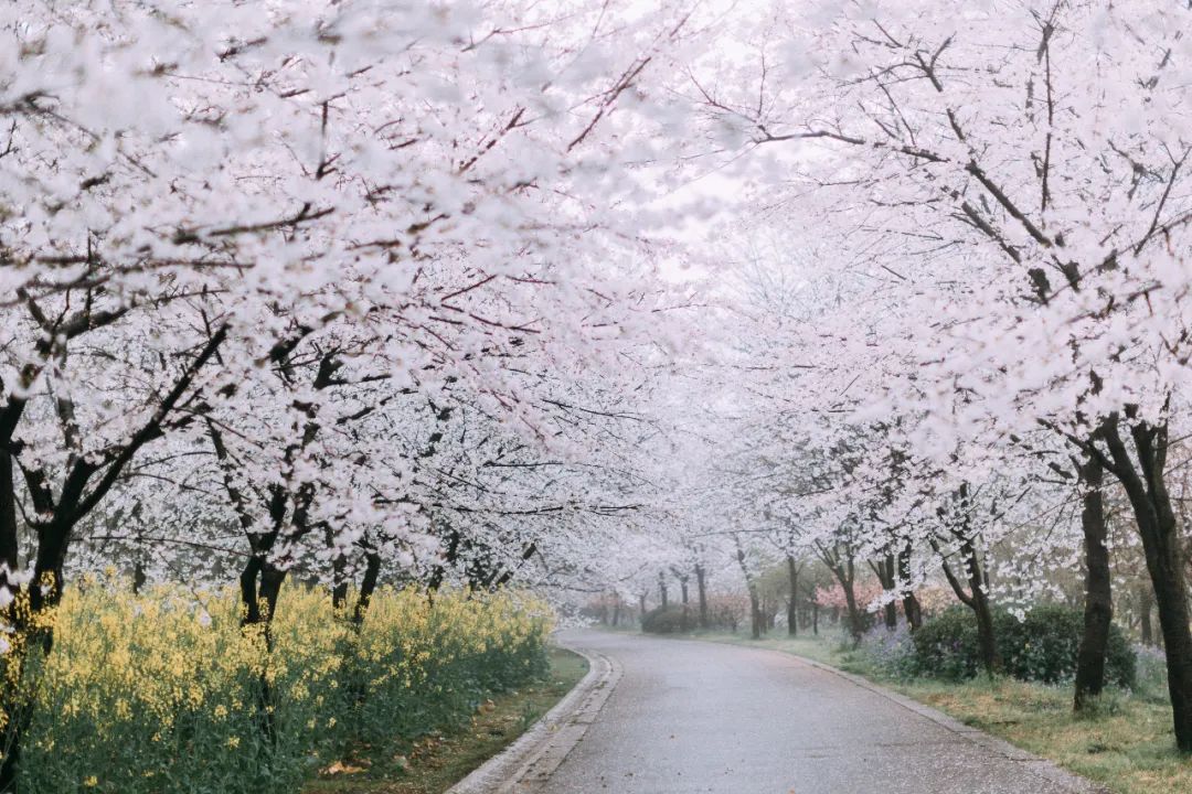 image002.jpg