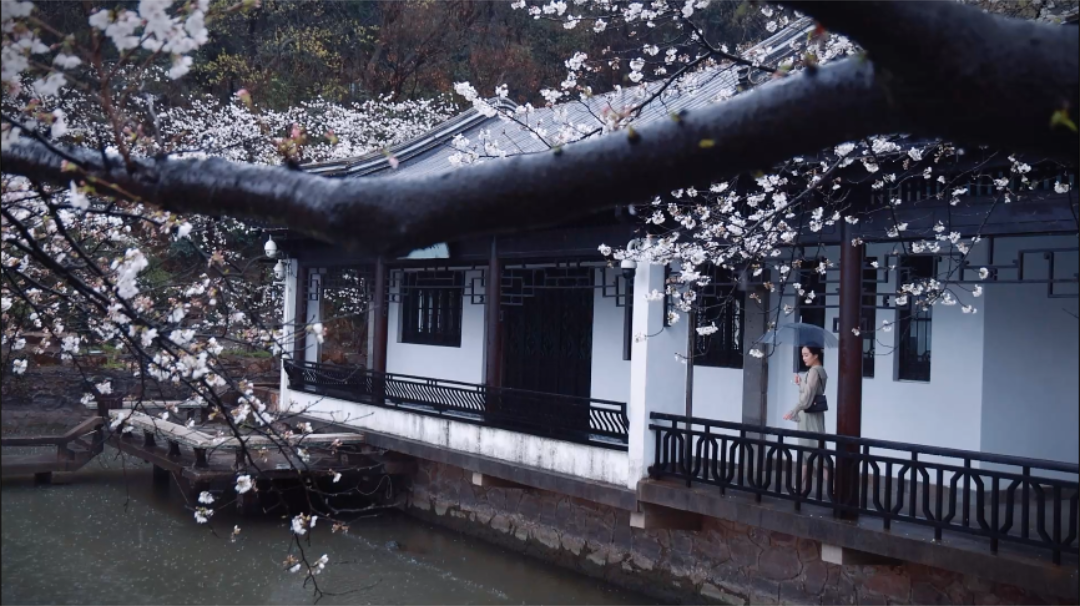 image009.png