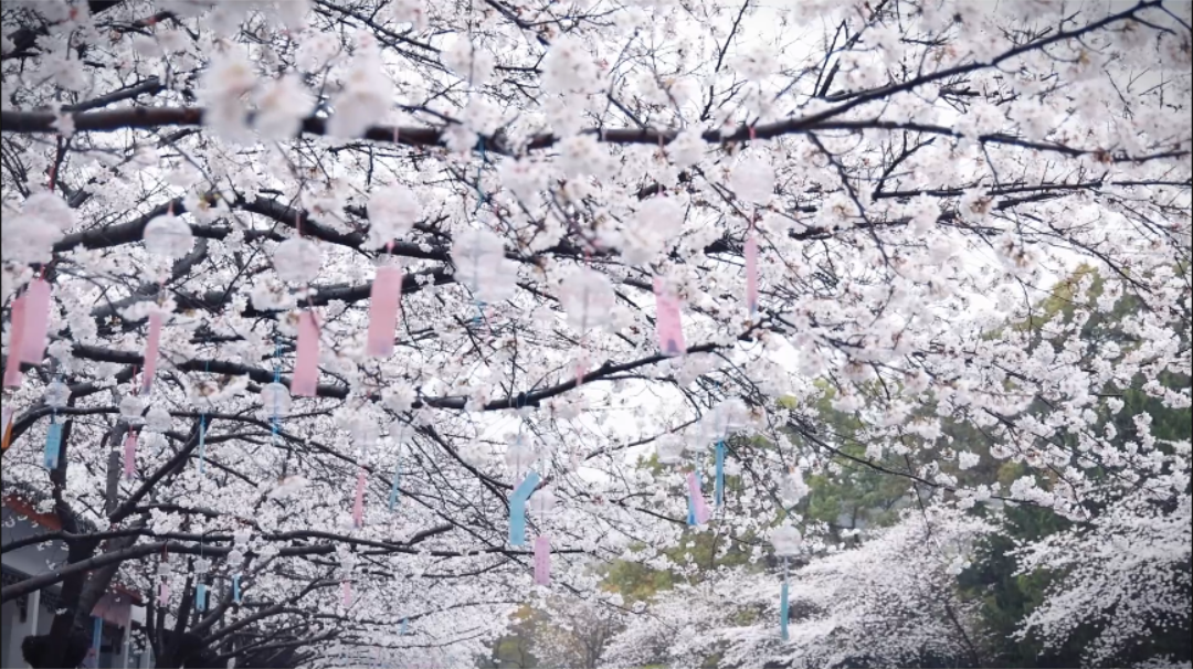 image010.png