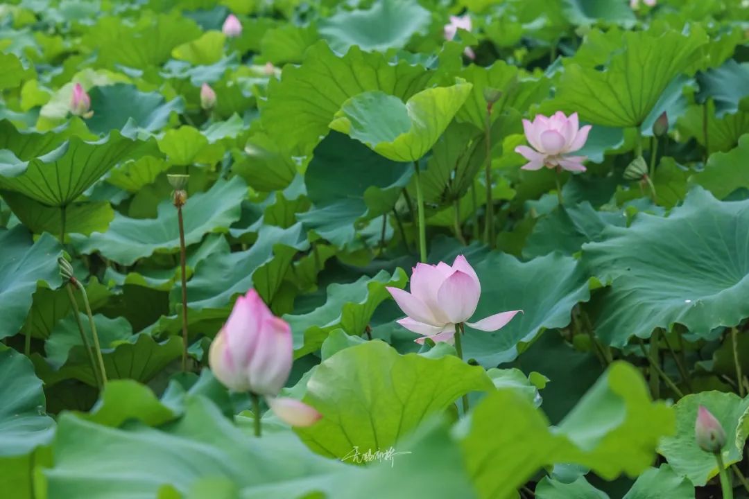 微信图片_20220808102202.jpg