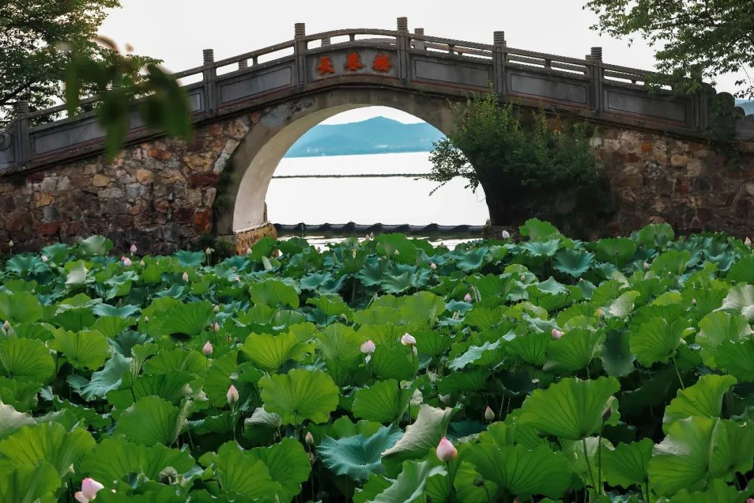 微信图片_20220821184637.jpg