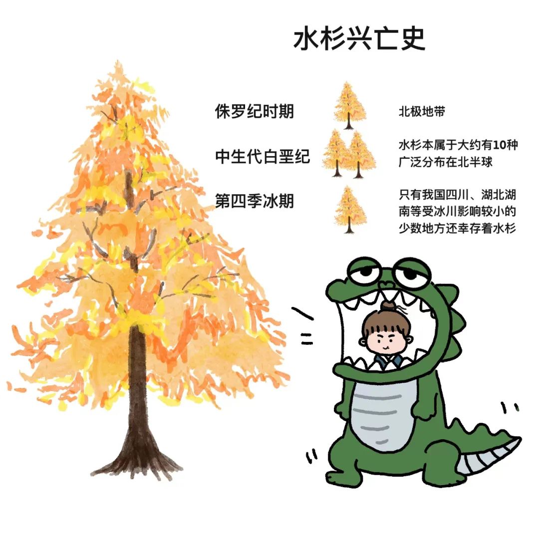 微信图片_20230107170041.jpg