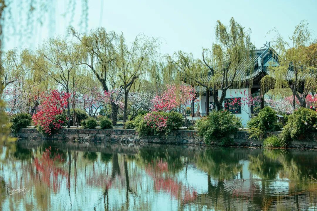 微信图片_20230214180720.jpg