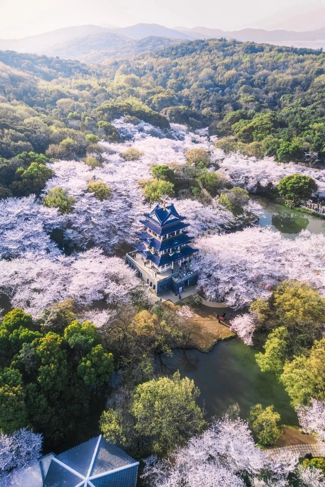 微信图片_20230507172959.jpg