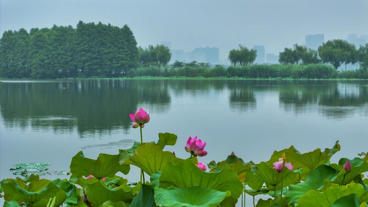 微信图片_20230626191324.jpg