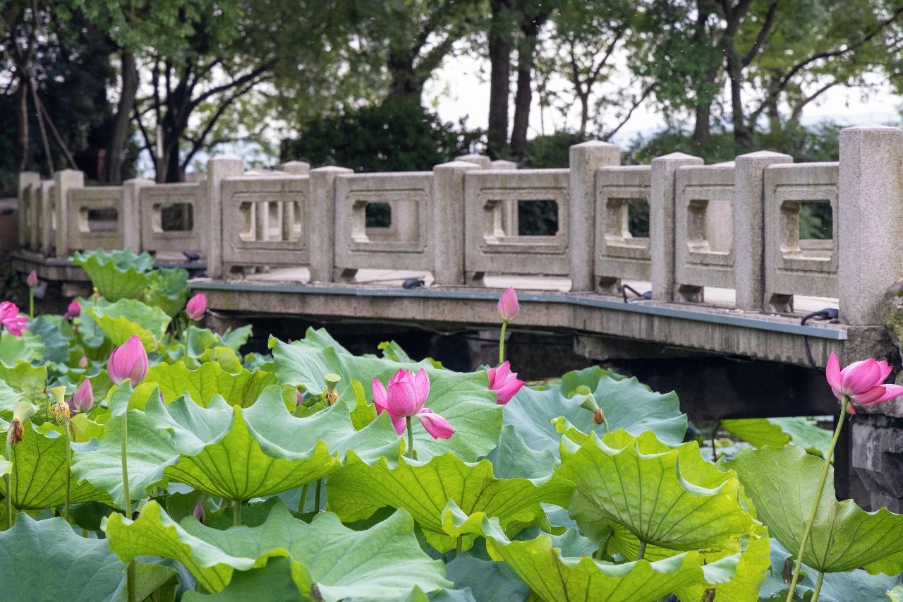 微信图片_20230626191336.jpg