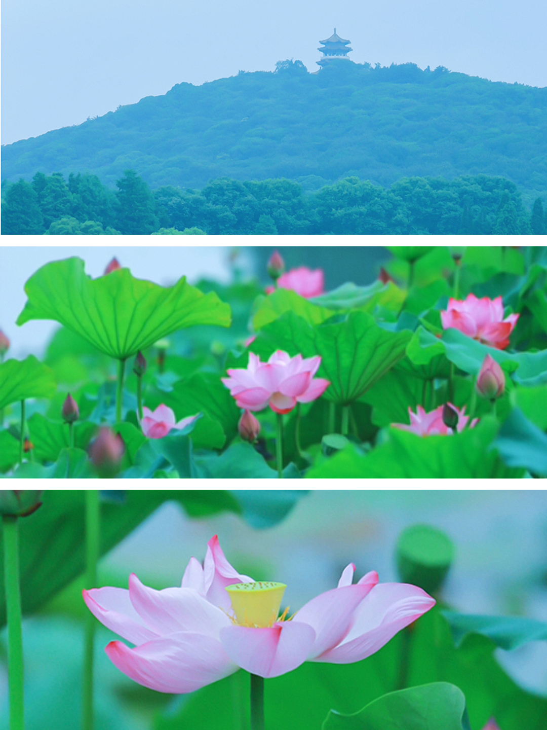 微信图片_20230704134637.png