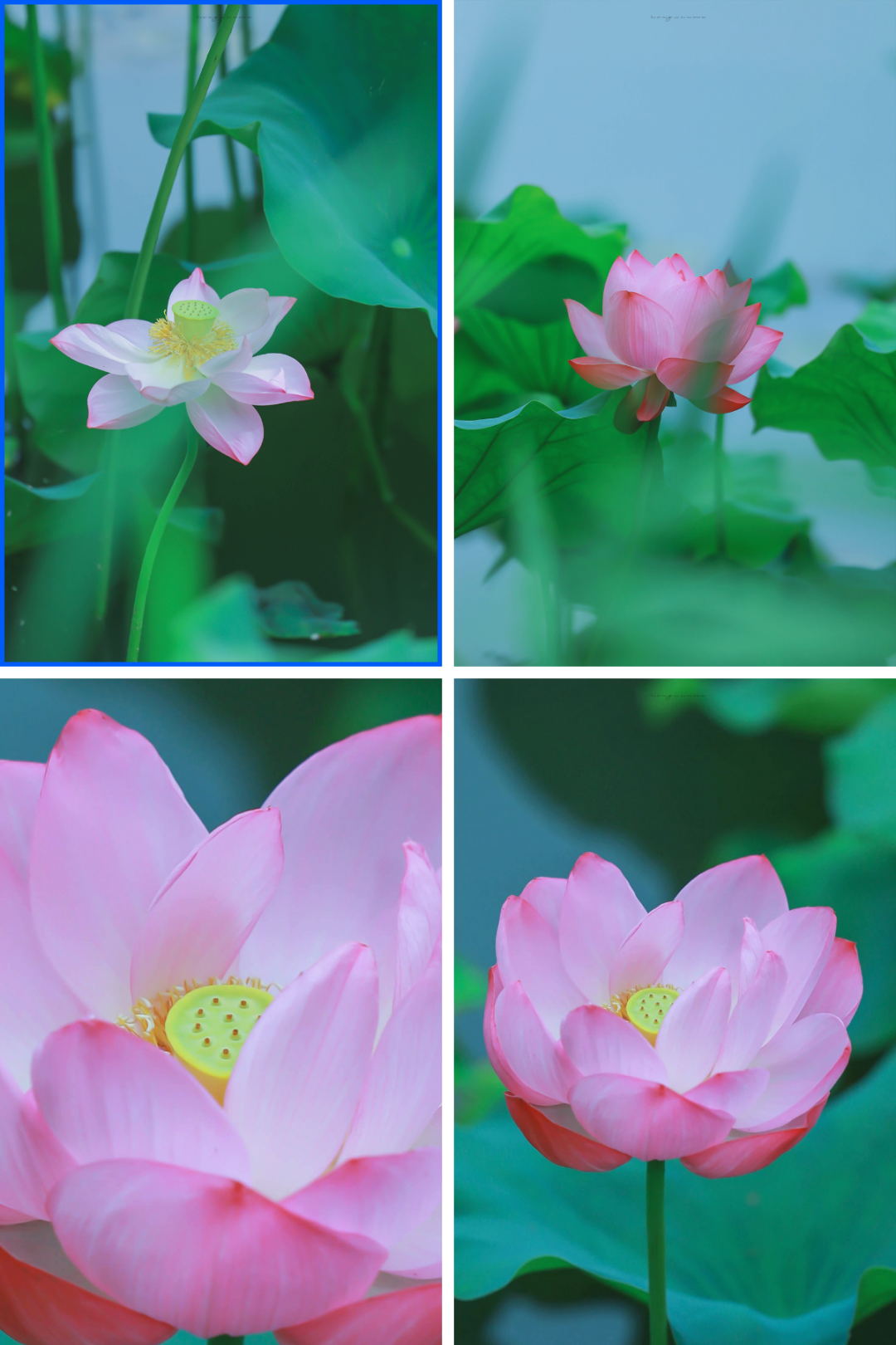 bige-124674-30461-0-2-64a3b5a0-e3a4-4974-849d-227dac10c66a_看图王.jpg