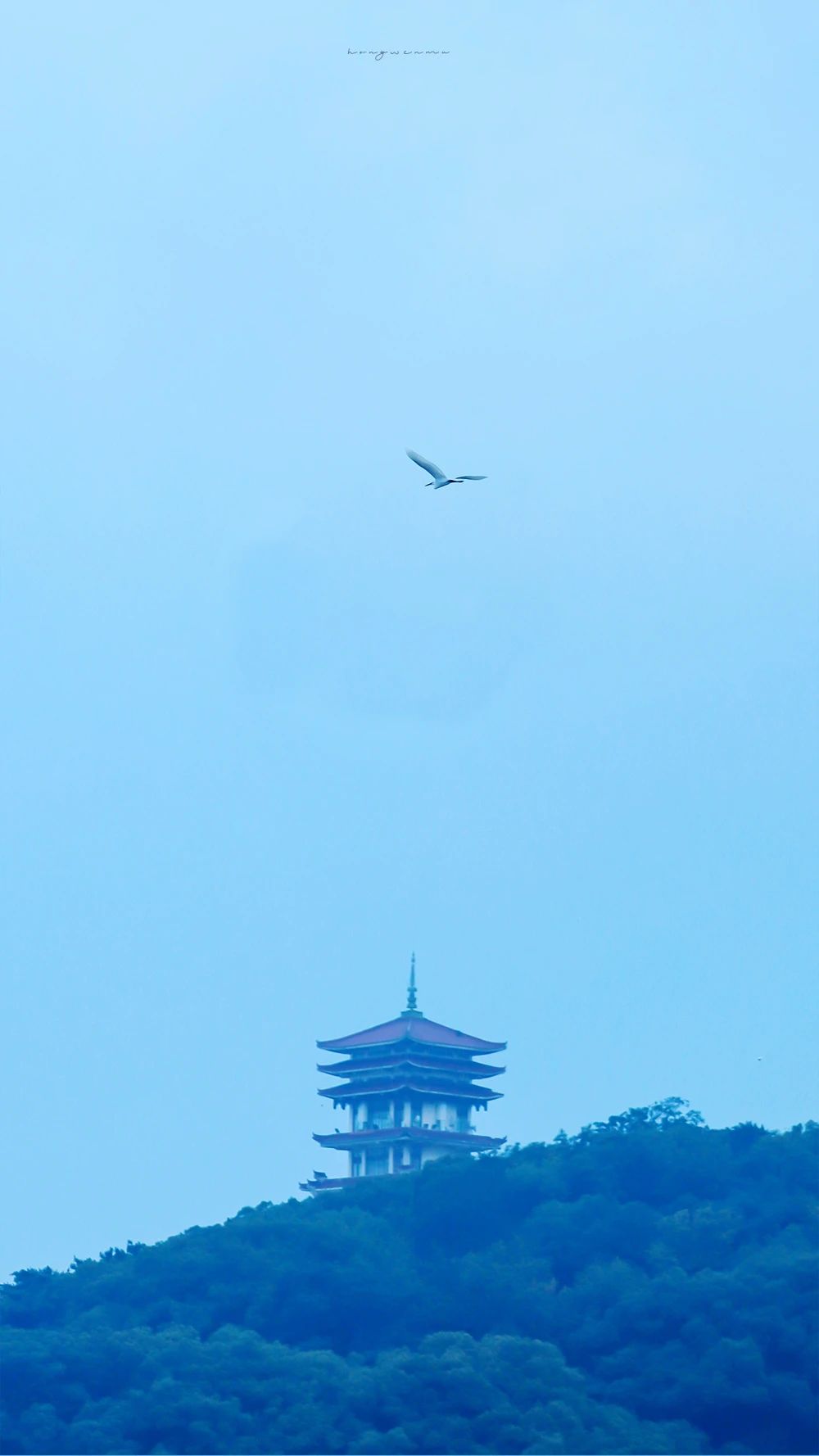 微信图片_20230704134708.jpg