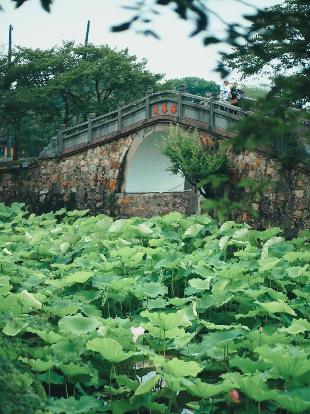 微信图片_20230710153930.jpg
