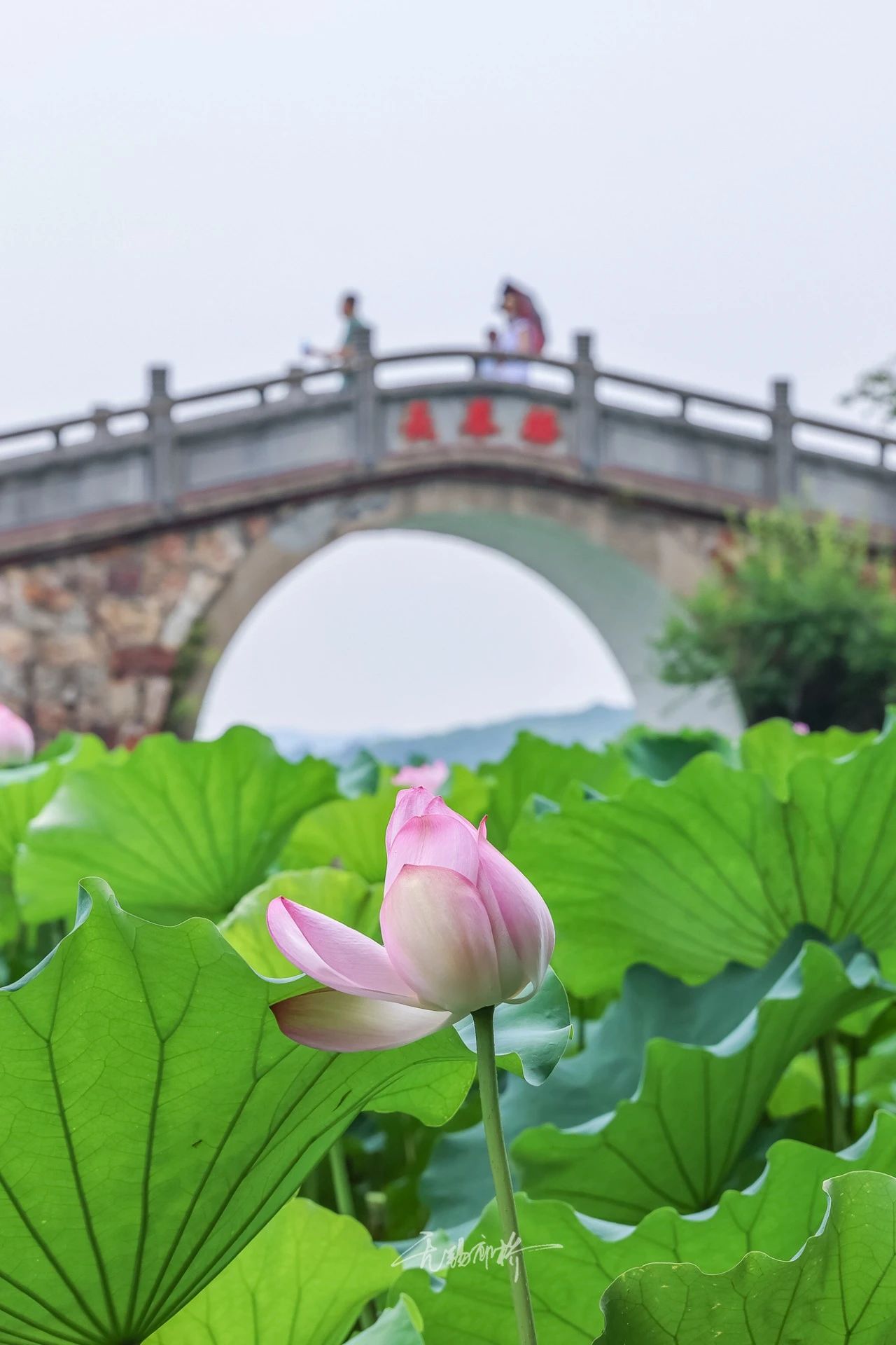 微信图片_20230717180709.jpg