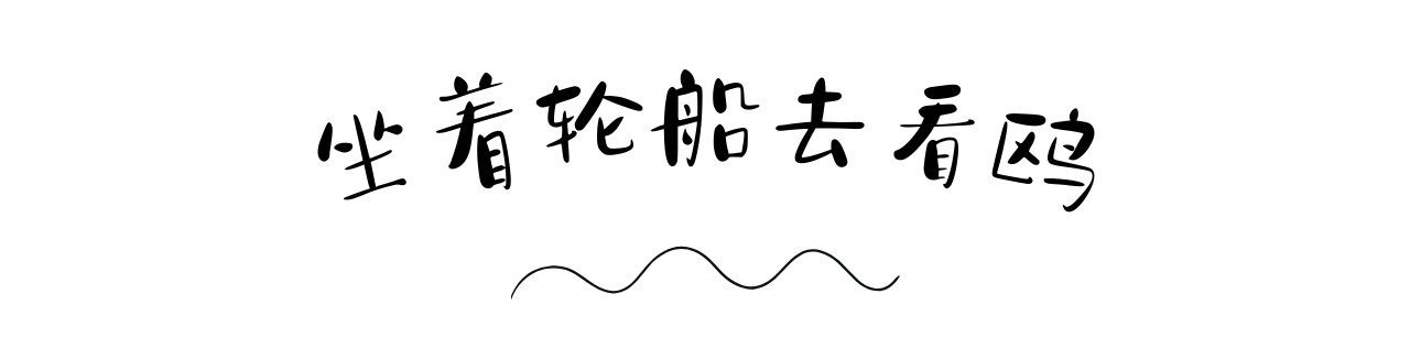 微信图片_20231024201941.png
