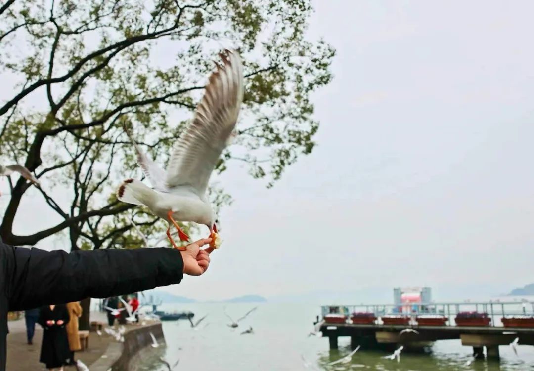 微信图片_20240103175757.jpg