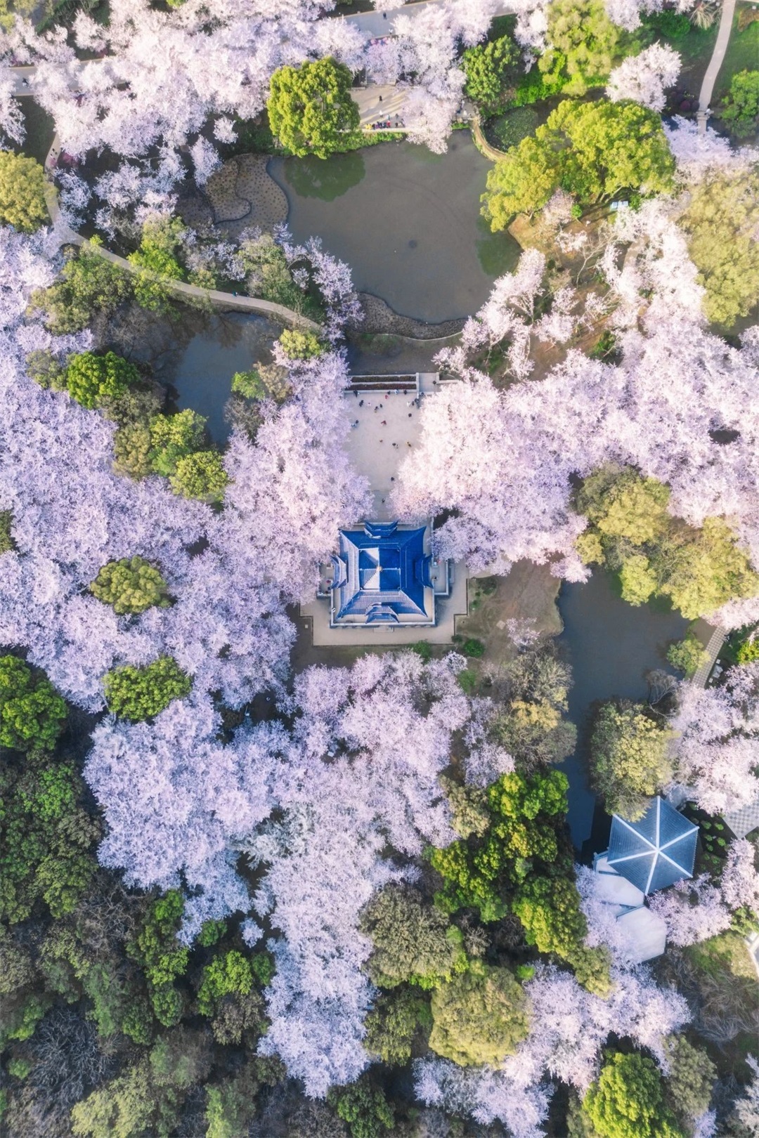 微信图片_20240509195753.jpg