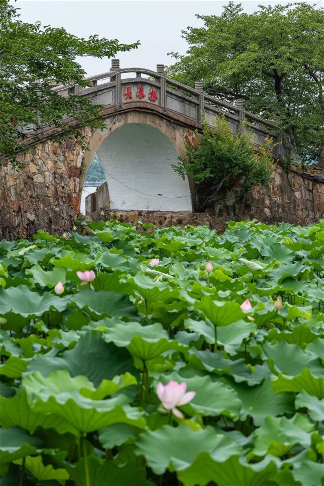 微信图片_20240624180923.jpg