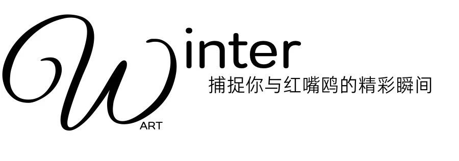 微信图片_20250220223812.jpg