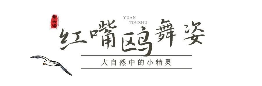 微信图片_20250220224331.jpg
