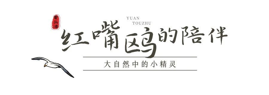 微信图片_20250220224341.jpg