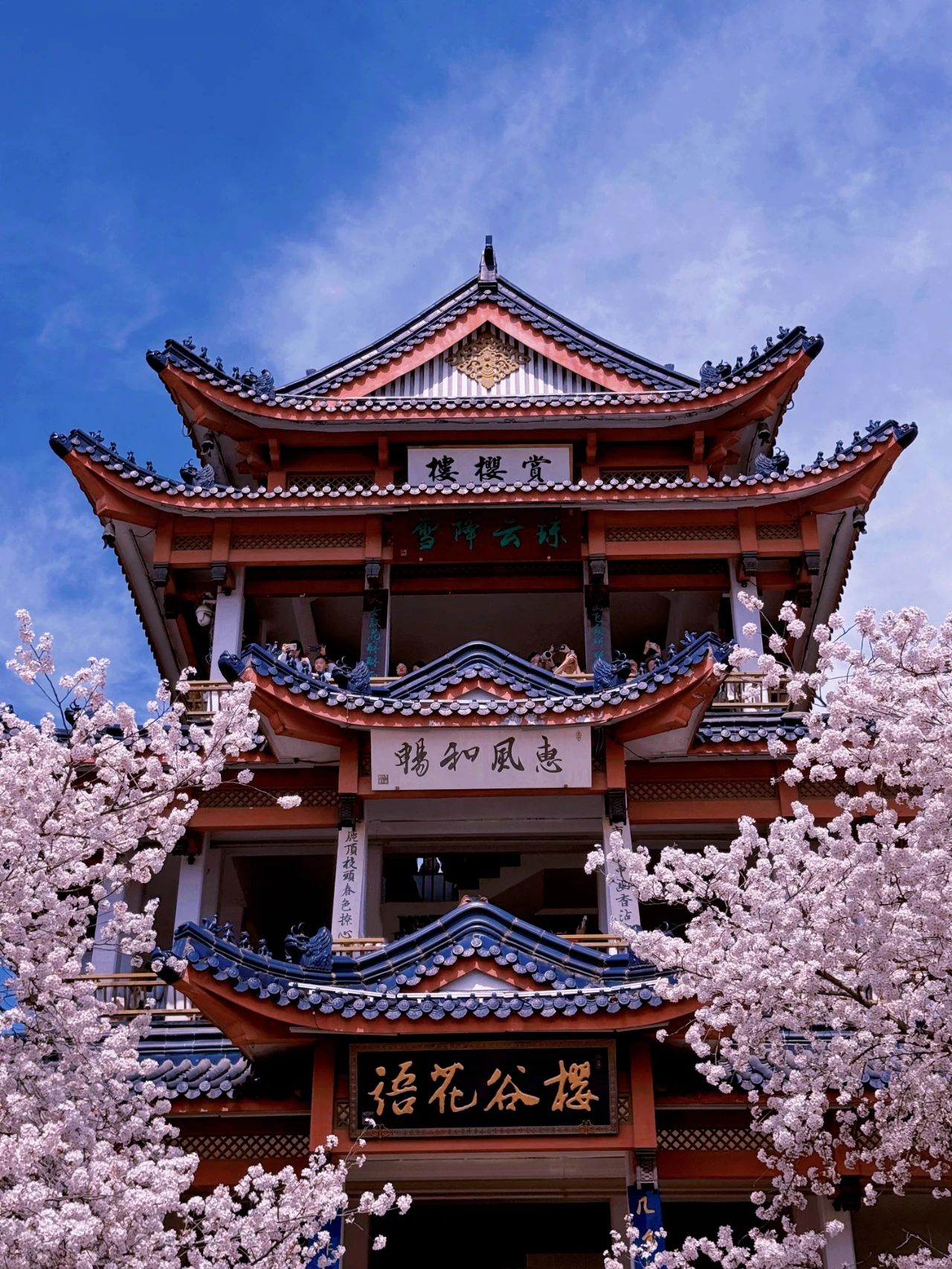 微信图片_20250316204704.jpg