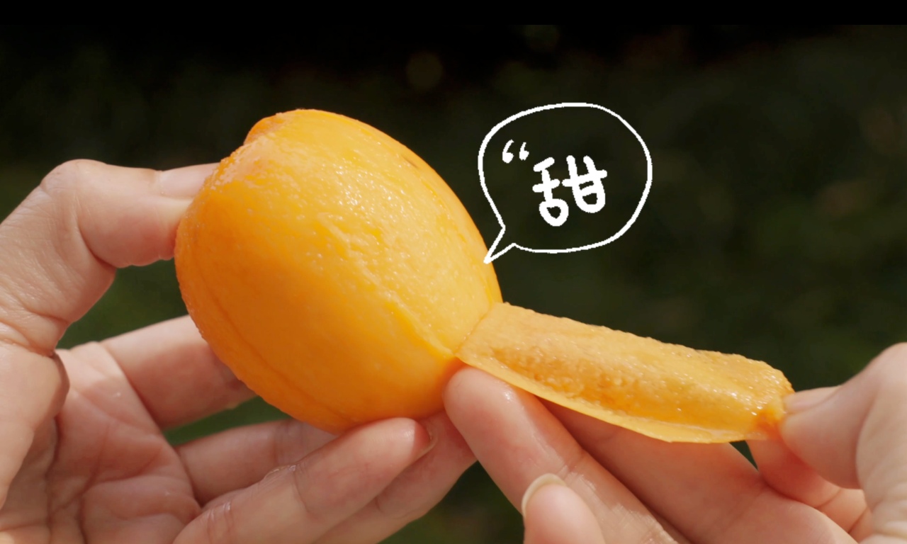 微信图片_20250521181312.png