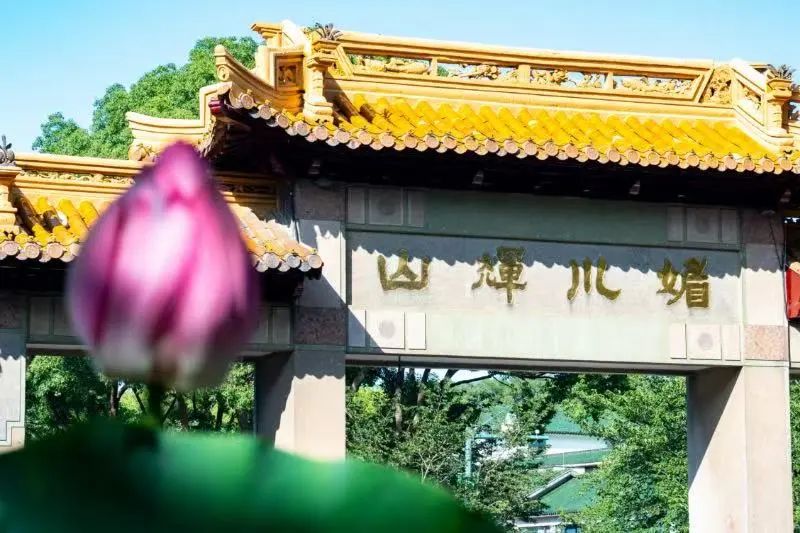 微信图片_20250717204243.jpg