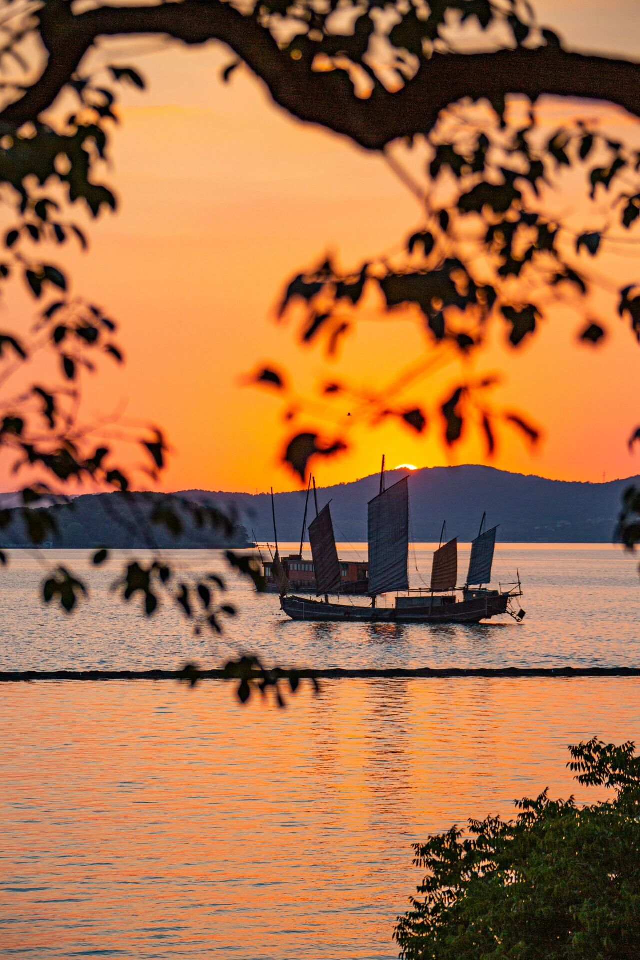 1761384792459655.jpg 微信图片_2025-10-25_172630_252.jpg