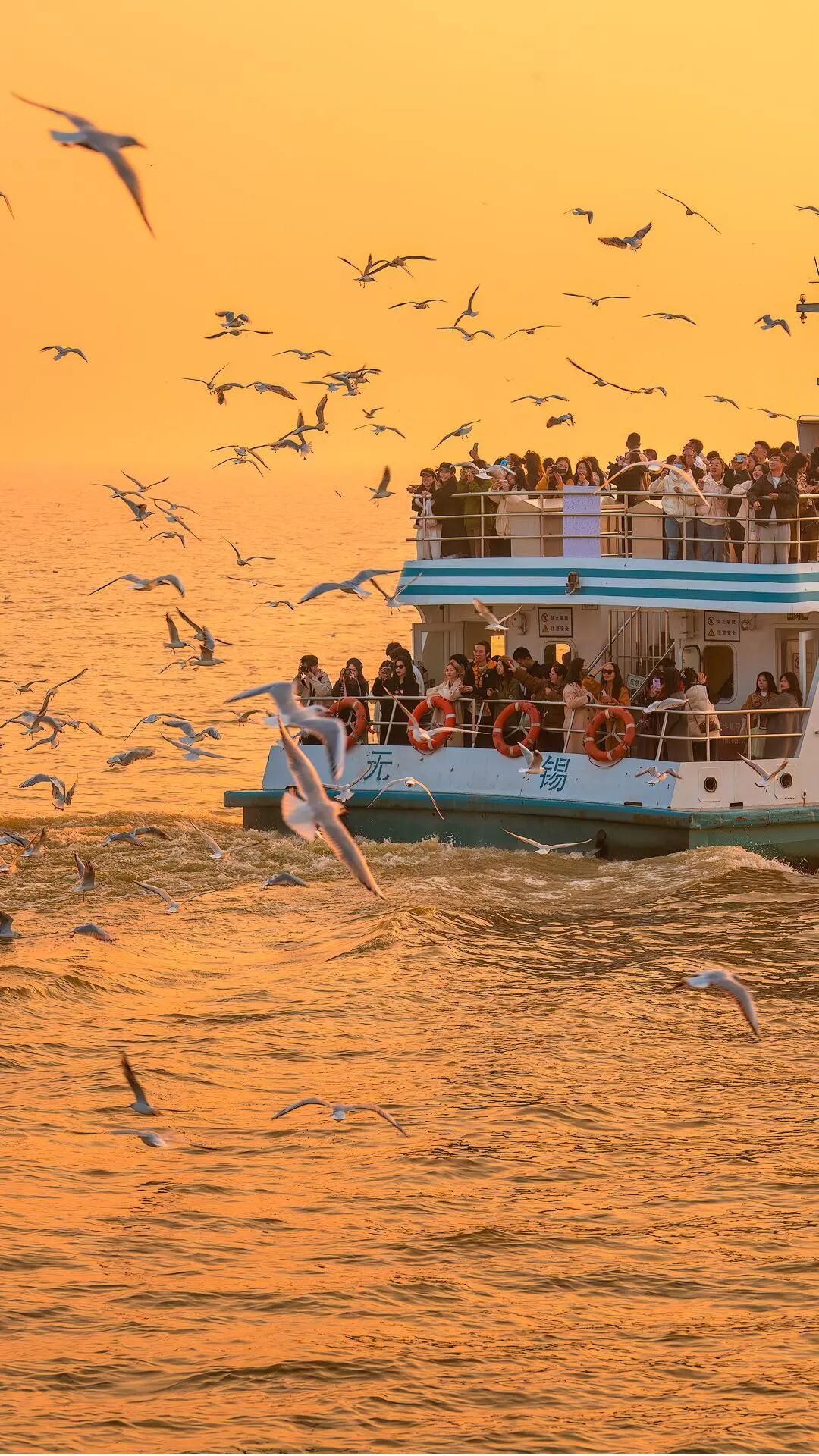 1764039388666320.jpg 1.jpg