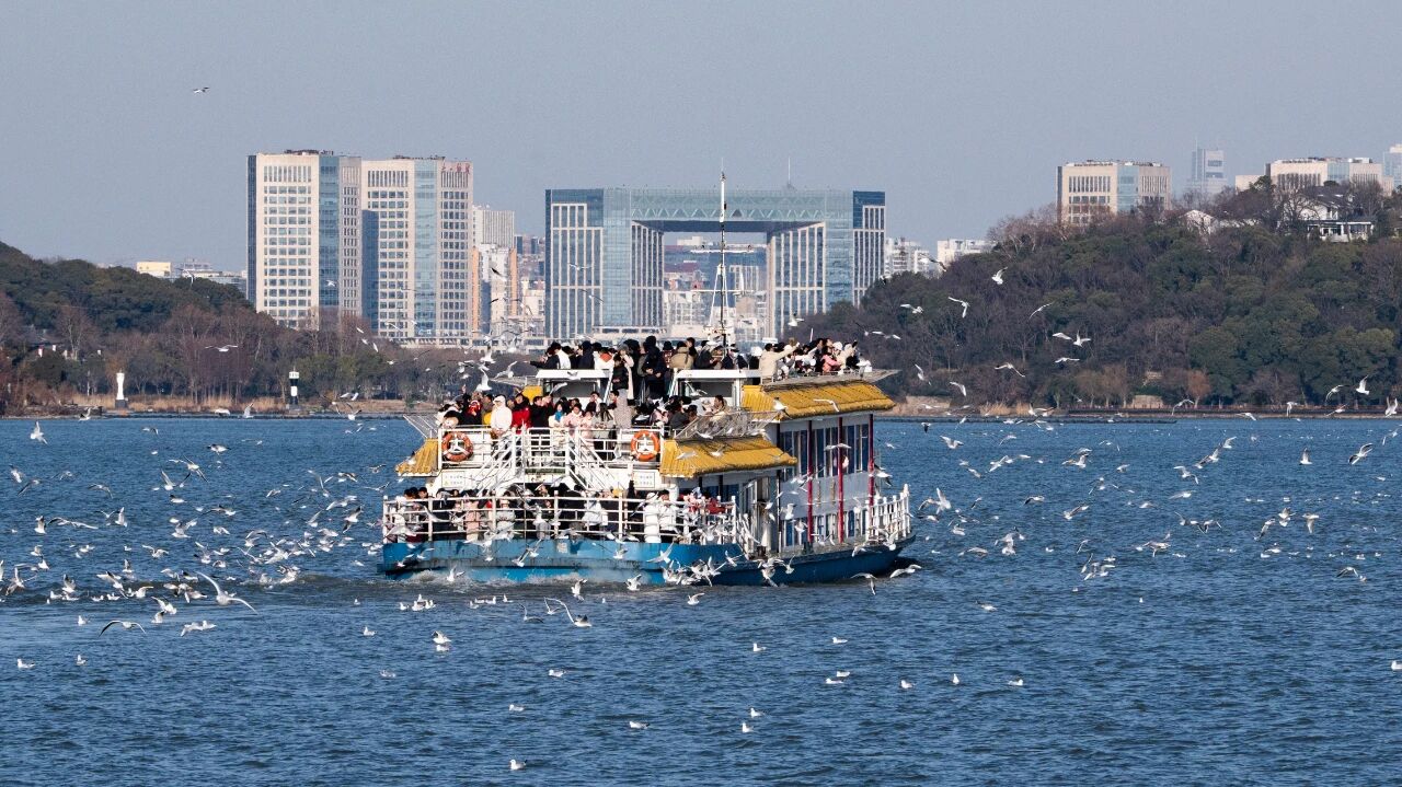 1764039430195312.jpg 3.jpg