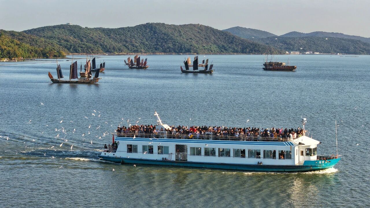 1764039509274139.jpg 8.jpg