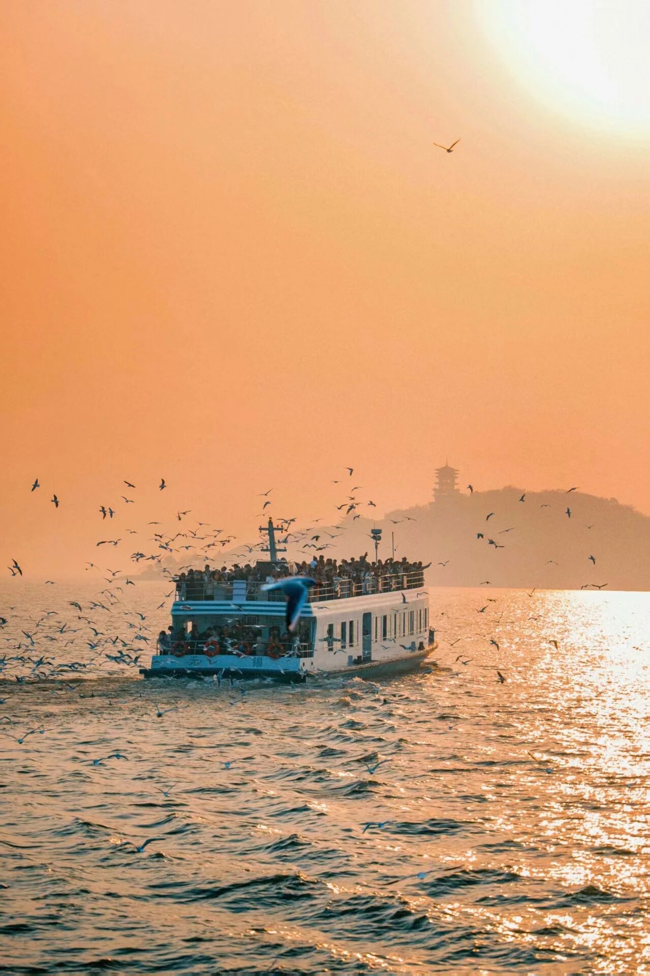 1764039539103240.jpg 10.jpg