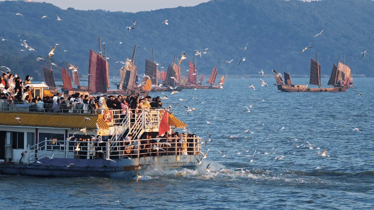 1769135306636627.jpg 3.jpg