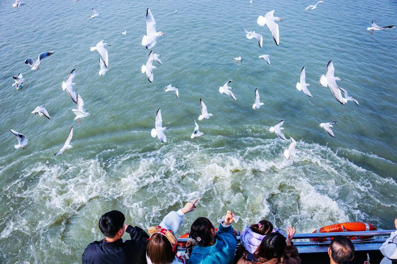 1769135310963684.jpg 4.jpg