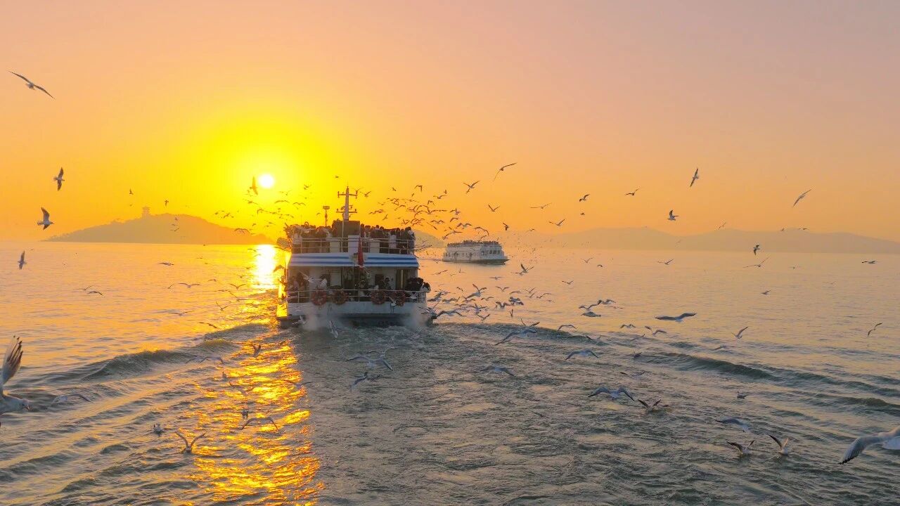 1769135319397033.jpg 7.jpg