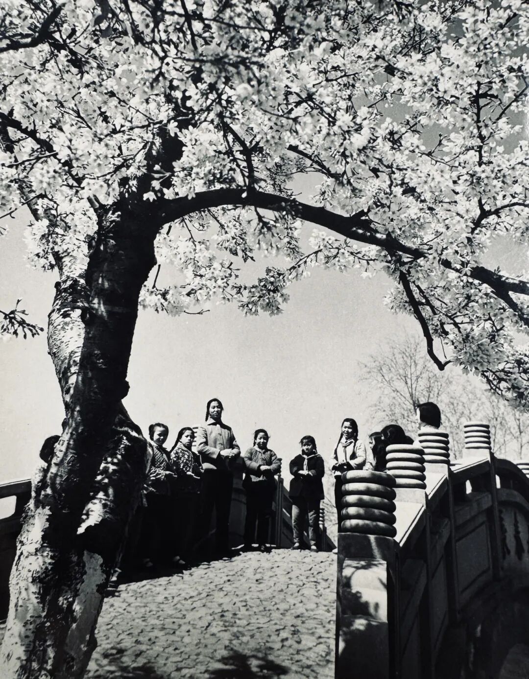 1769139775423889.jpg 2.jpg