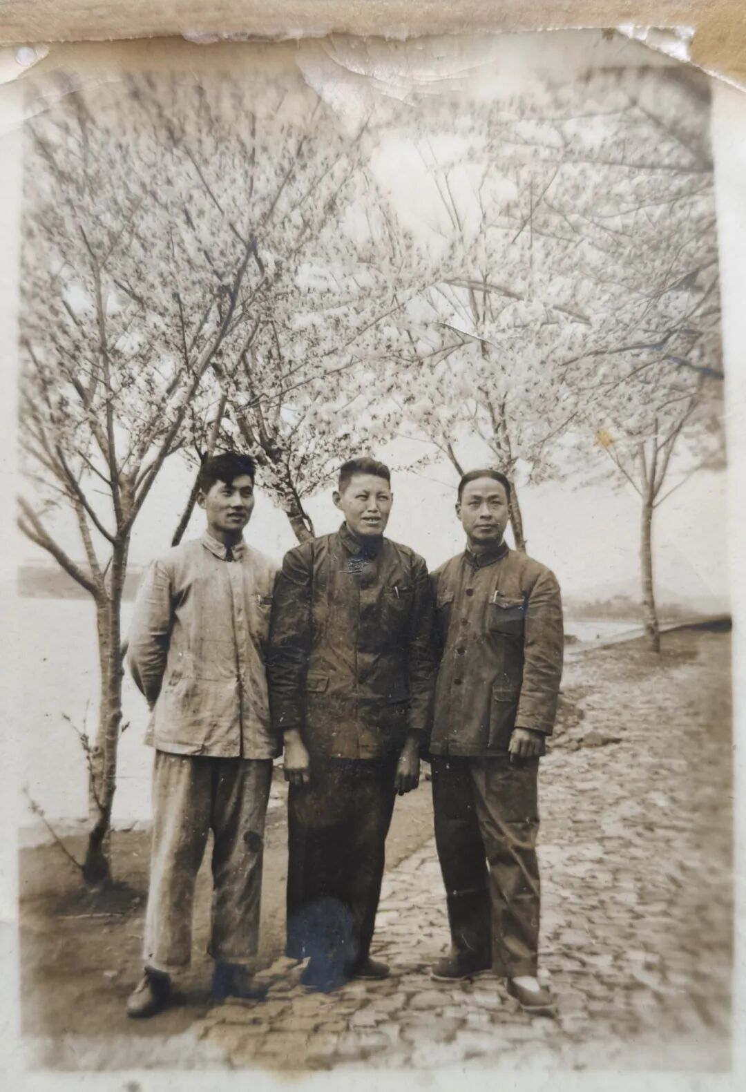 1769139781798522.jpg 3.jpg