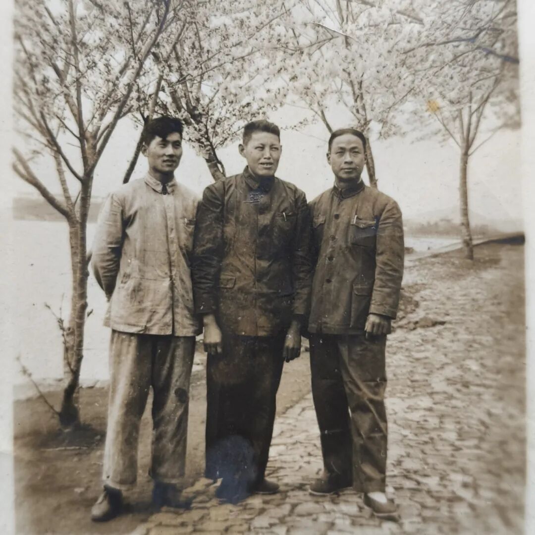 1769139796131195.jpg 6.jpg