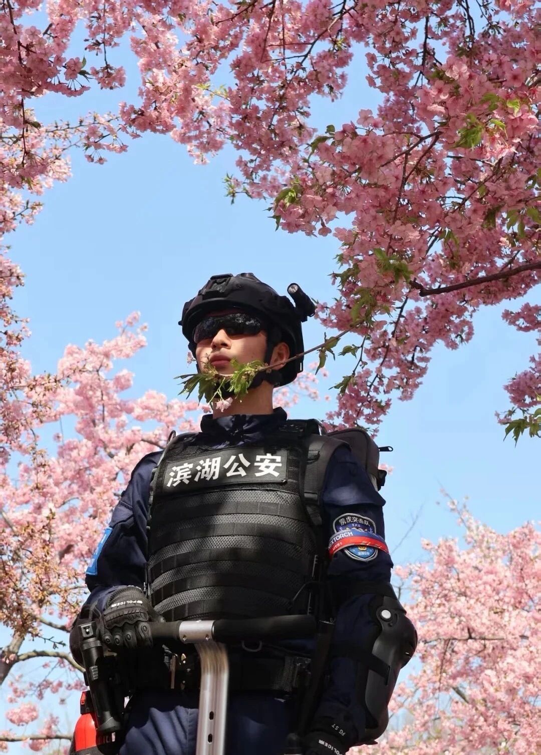 1773998562510345.jpg 1.jpg