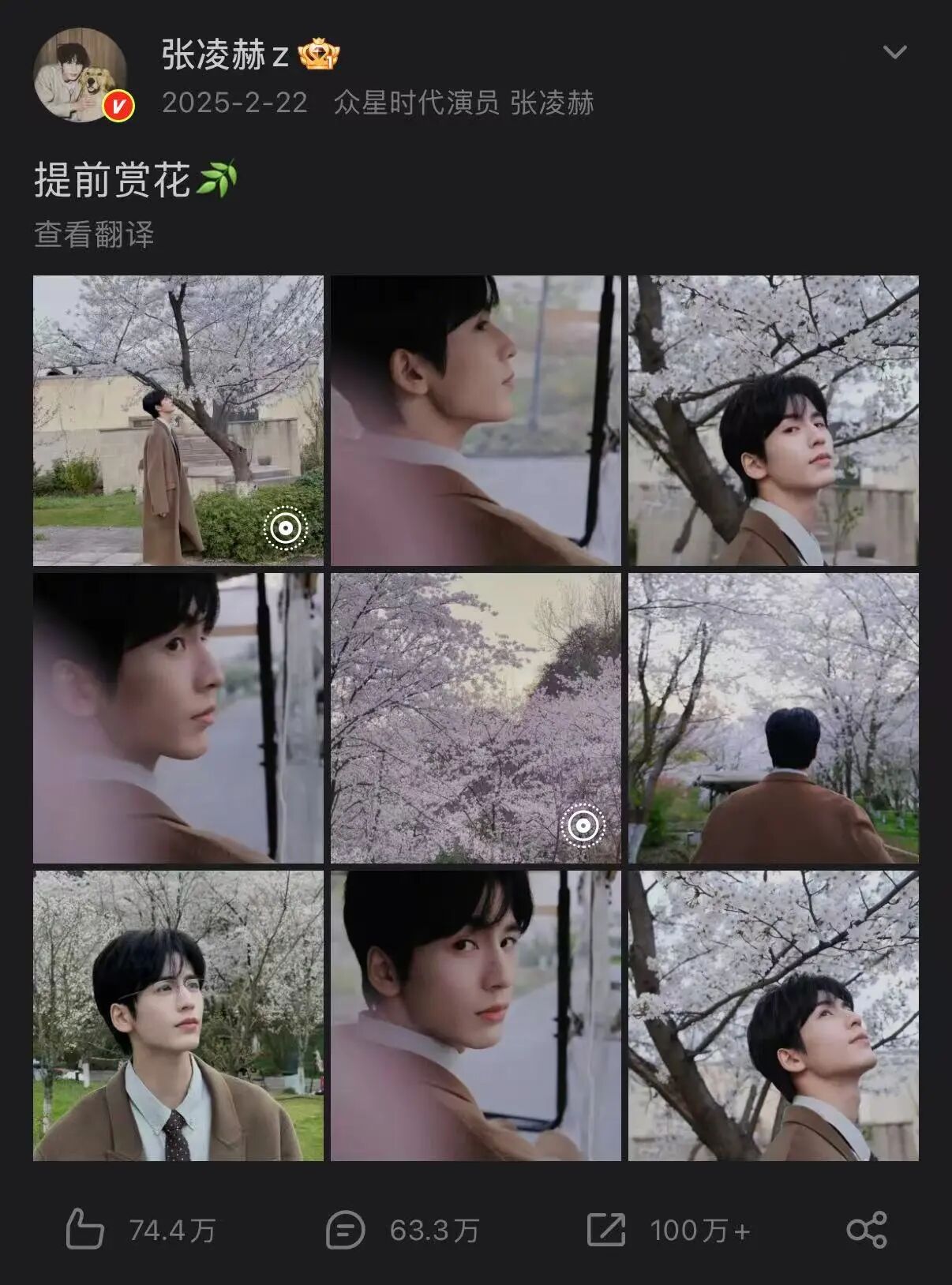 1773998586174560.jpg 6.jpg