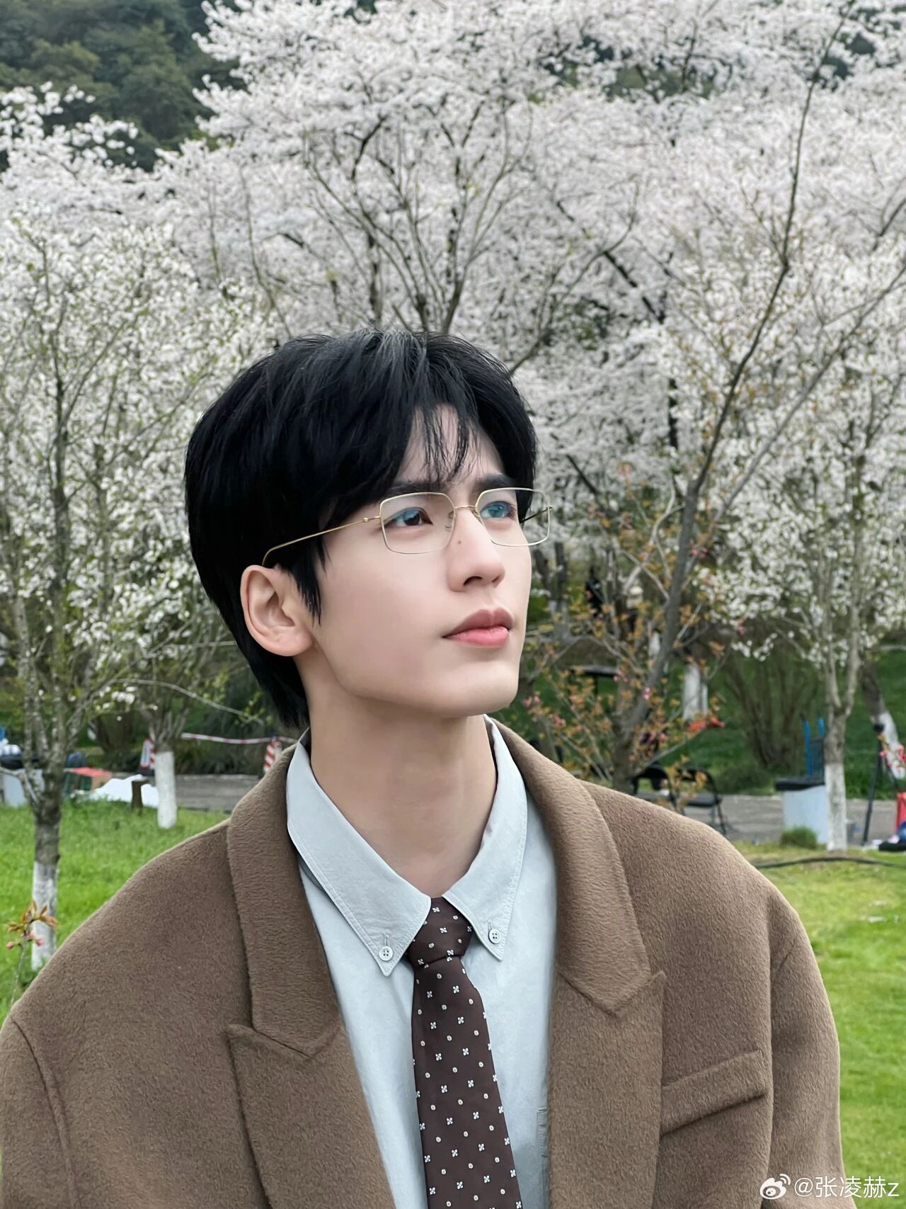 1773998591223754.jpg 7.jpg