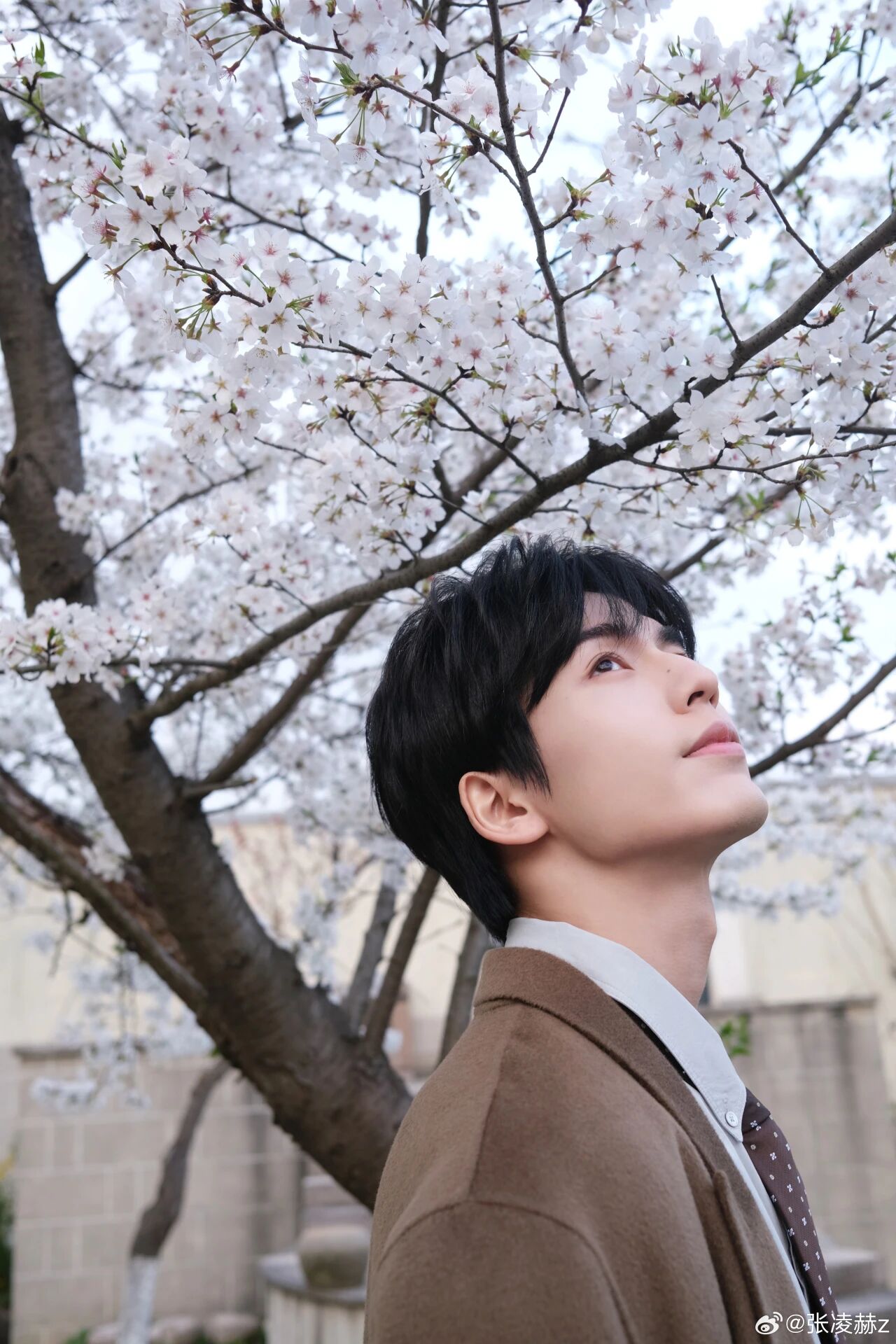 1773998598934478.jpg 8.jpg