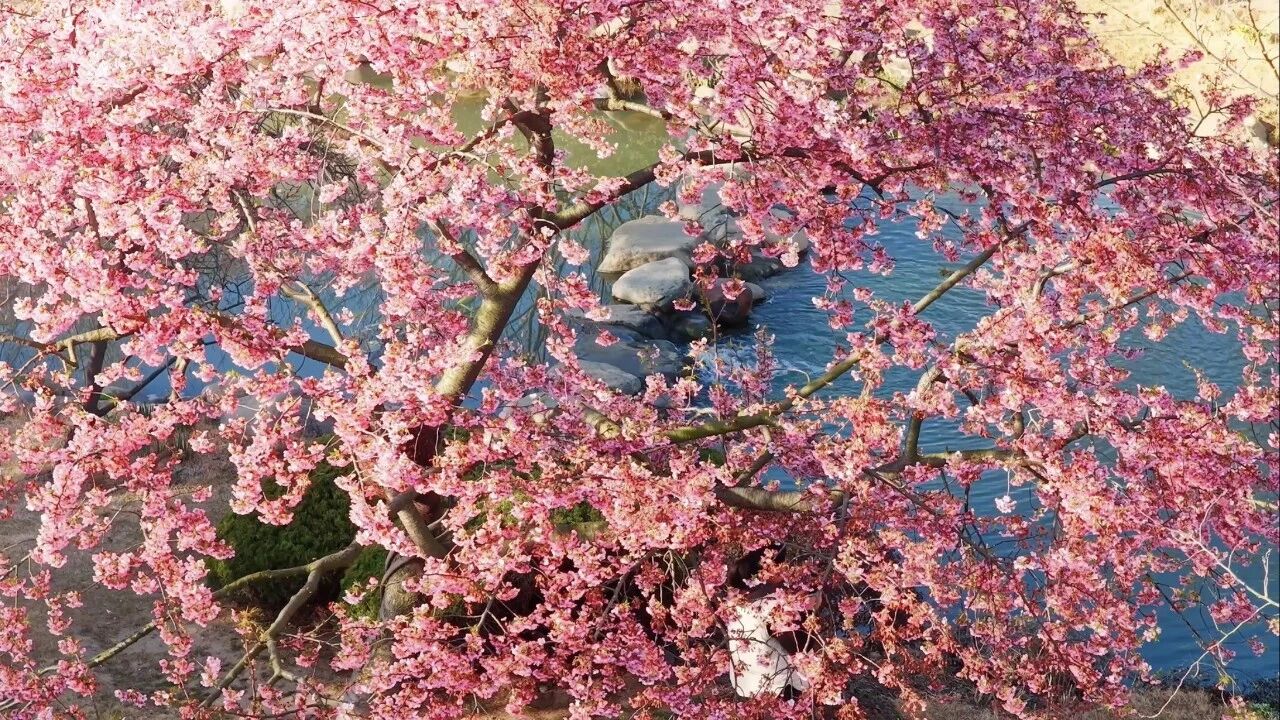 1773998608193298.jpg 9.jpg