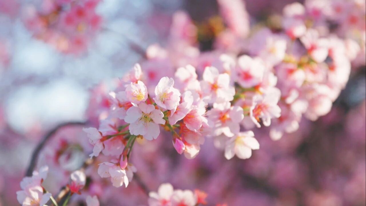 1773998613866149.jpg 10.jpg