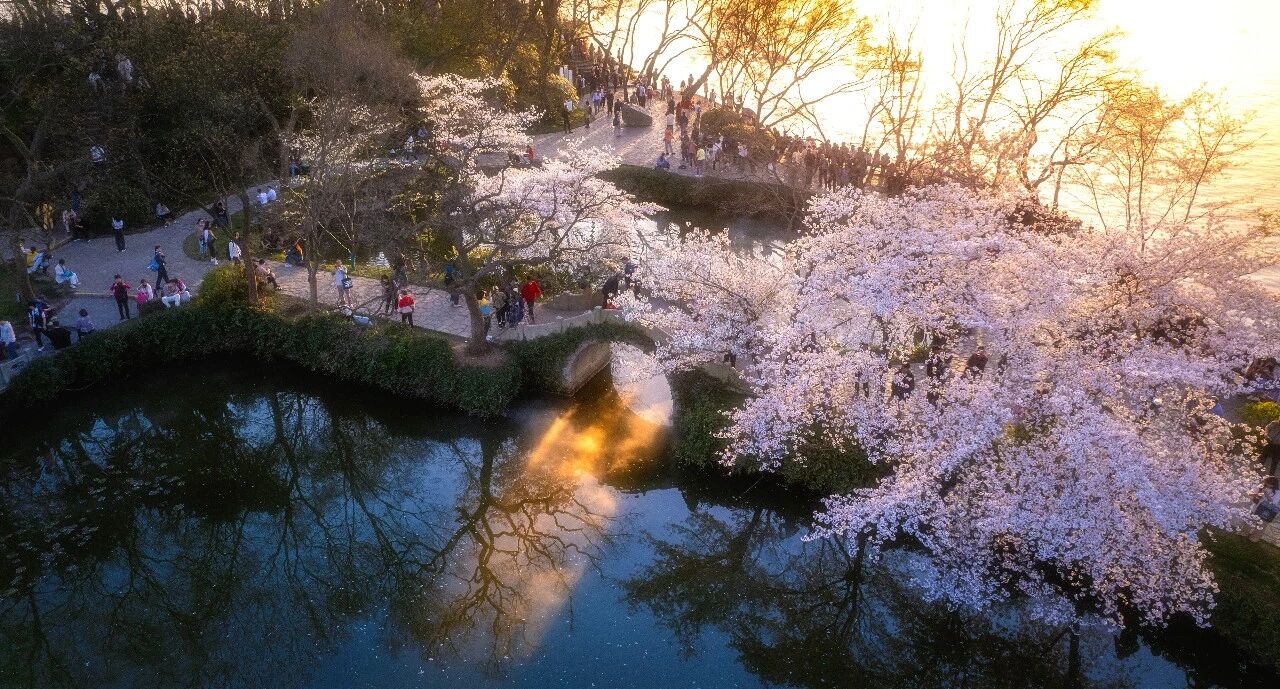 1773998627336883.jpg 13.jpg