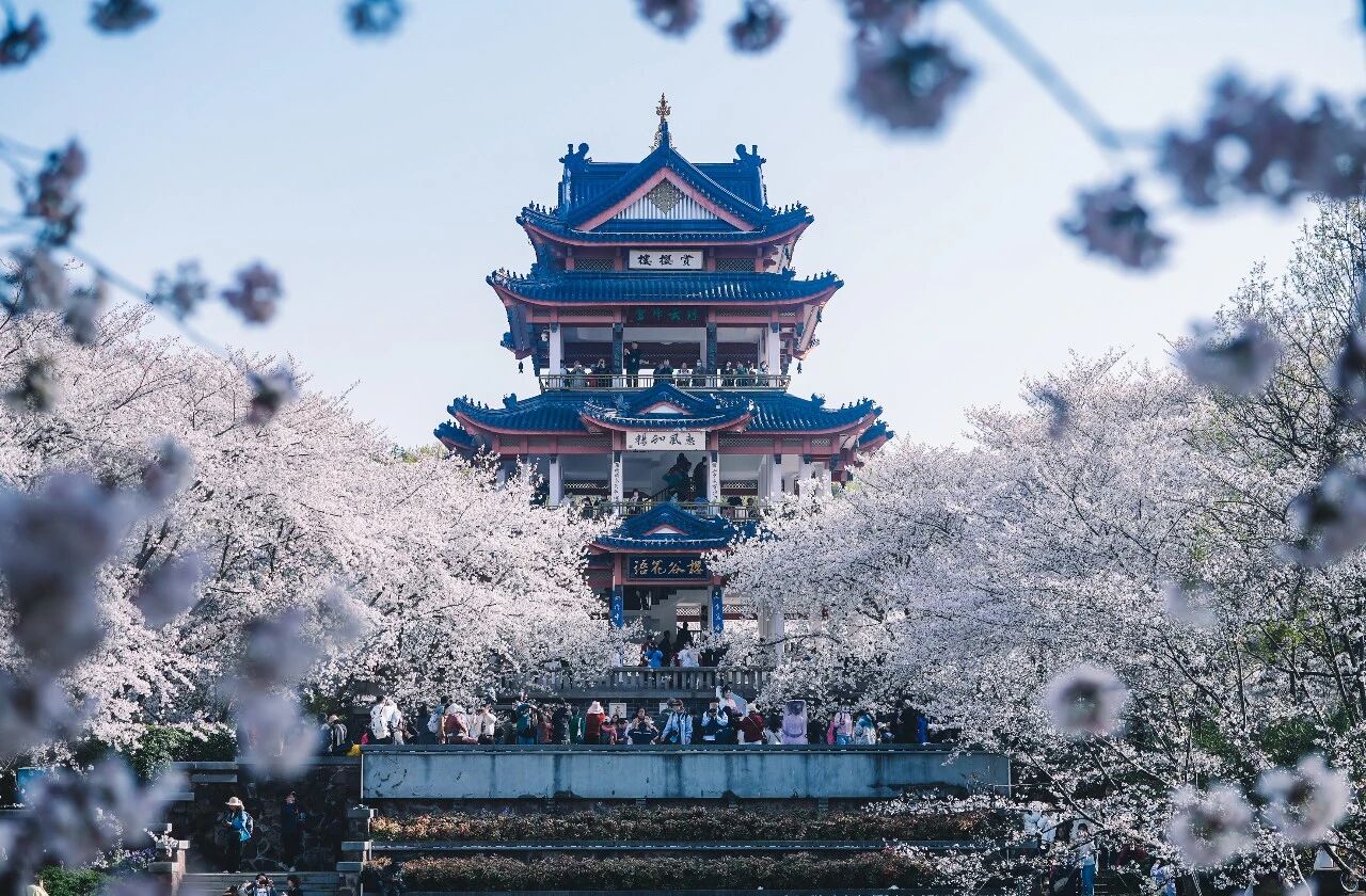 1773998633278503.jpg 14.jpg