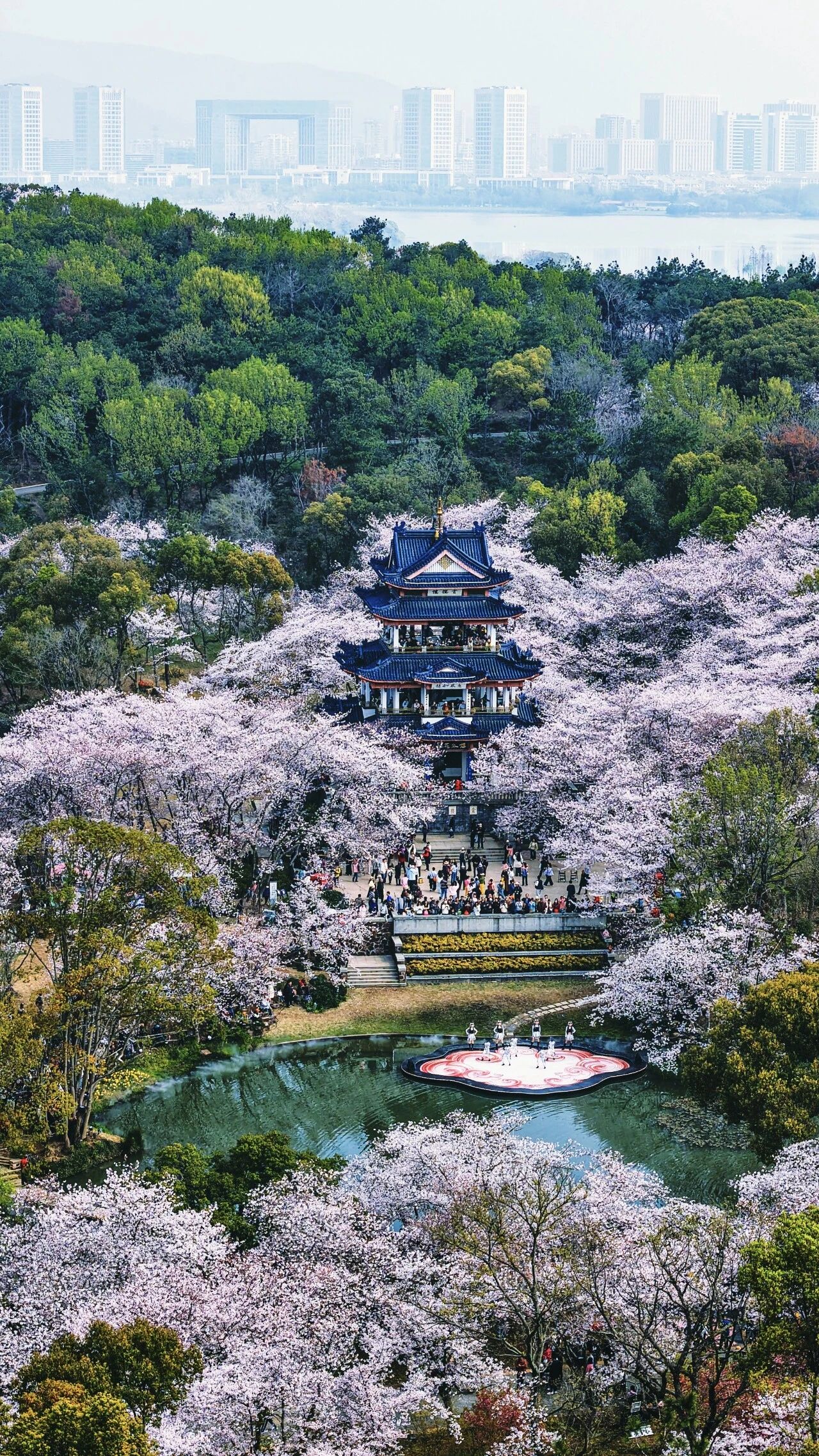 微信图片_2026-04-20_163617_573.jpg